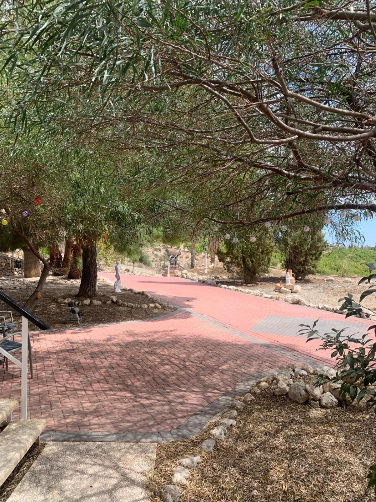 Casa Pajarera Daire Fortuna Dış mekan fotoğraf