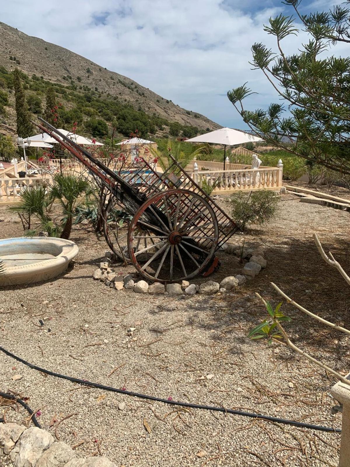 Casa Pajarera Daire Fortuna Dış mekan fotoğraf